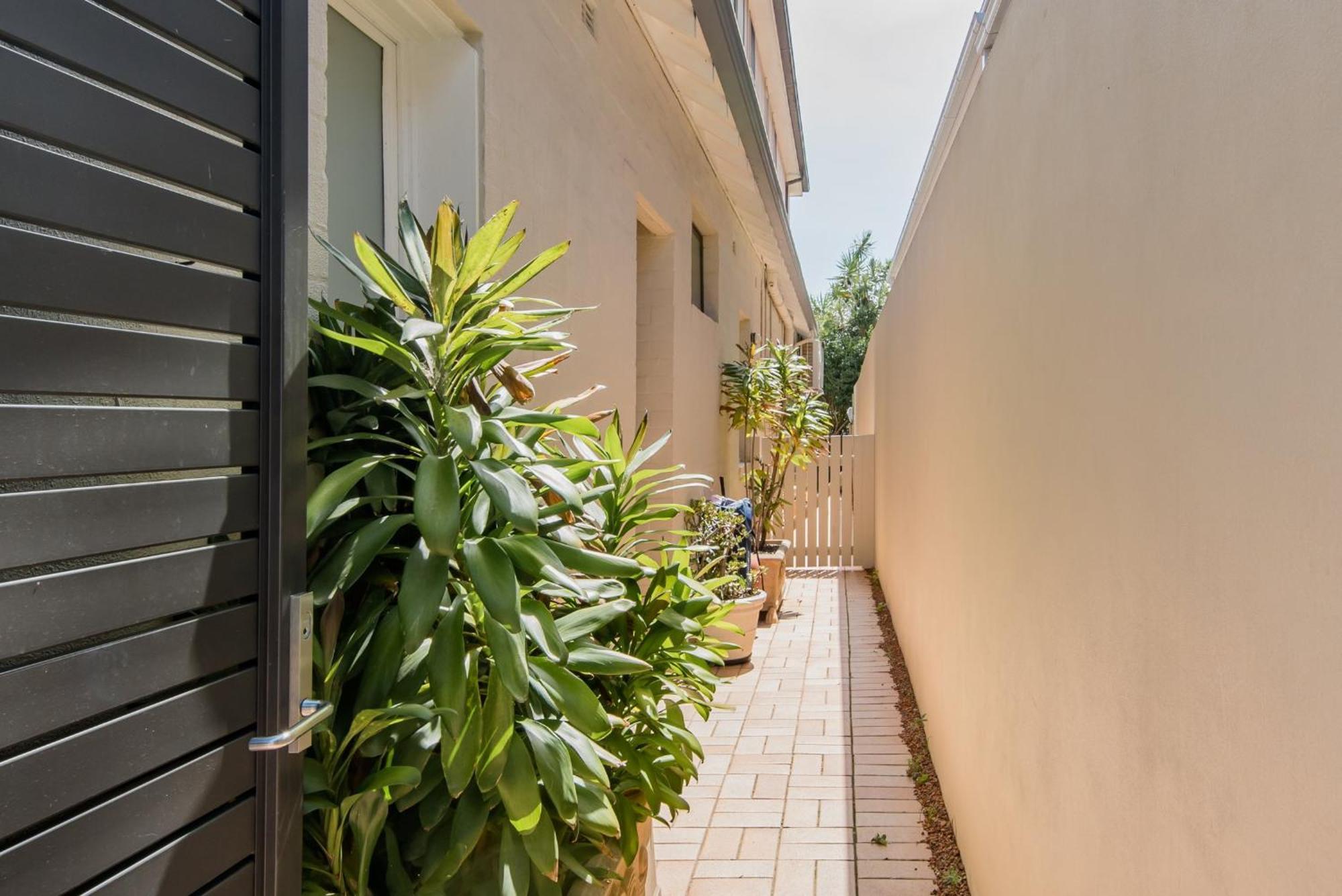 Holidayrento The Palm House Bondi سيدني المظهر الخارجي الصورة
