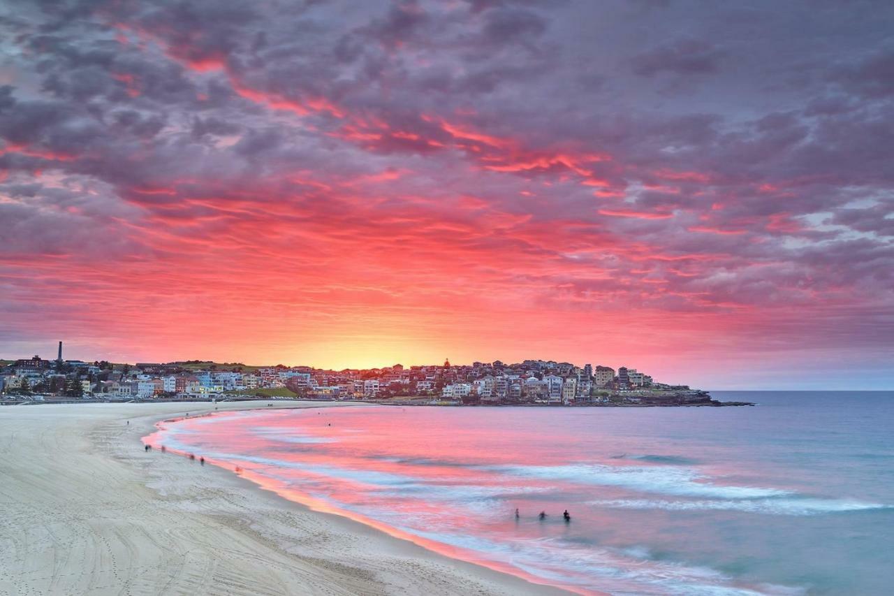 Holidayrento The Palm House Bondi سيدني المظهر الخارجي الصورة